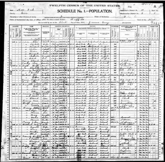 1900-census-buffalo